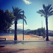 Ibiza - sunshine sanantonio ibiza