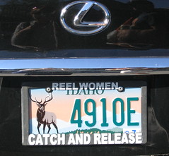 catch and release car plate