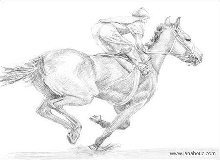 how to draw arabian horses running