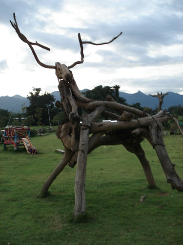 cool playground antler animal