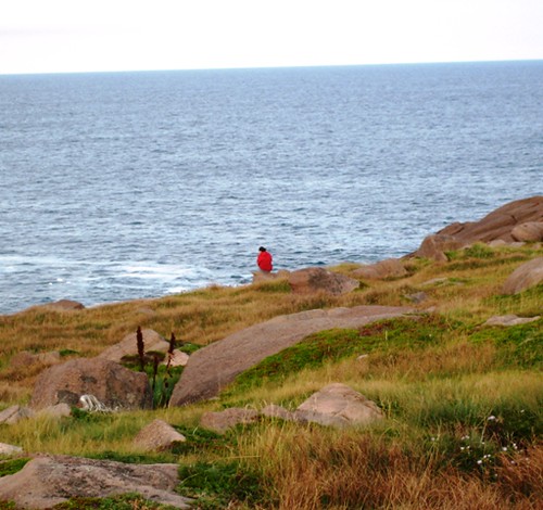 Cape Spear Visitor