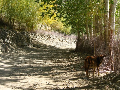 Langar, Tajikistan / タジキスタン、ランガール村