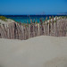 Formentera - Dunas de arena en las playas de Es Cal - Formentera