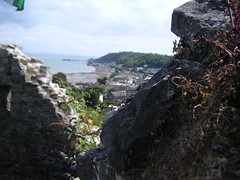 View of Mumbles from Oystermouth Castle