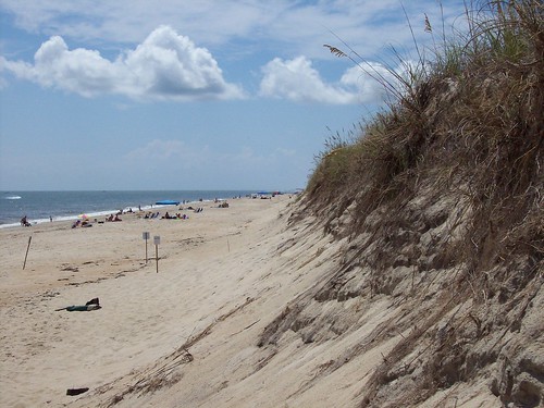 Beach Sand Dune- Avon, NC