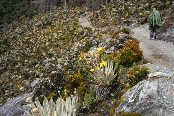 Parque Nacional de la Sierra Nevada