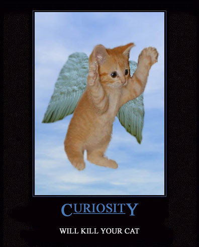 curiositykw5