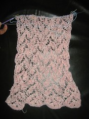 Lace Scarf WIP