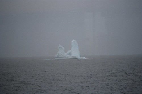 Sculptures of Ice