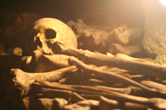 Catacombs_025