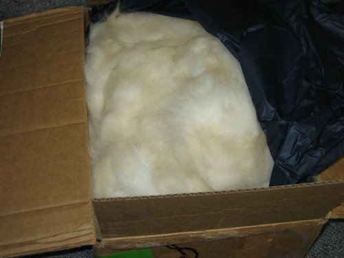 Alaskan Malamute fiber