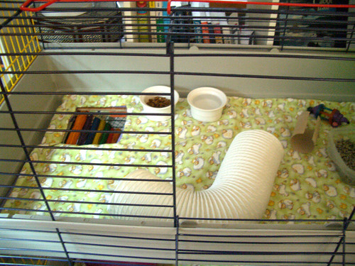 Harley's Cage - Top level