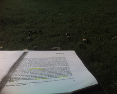 Studying in the park