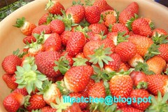 Kasimanis Strawberries