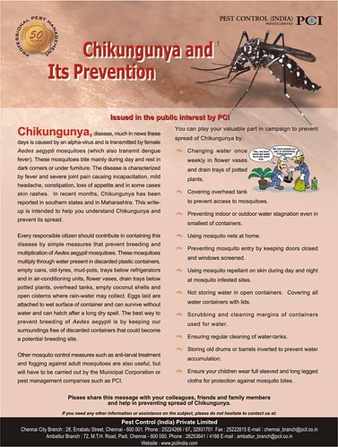 Chikunguniya - Symptoms and Preventive Measures