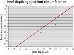 heel vs foot