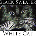 Black Sweater, White Cat