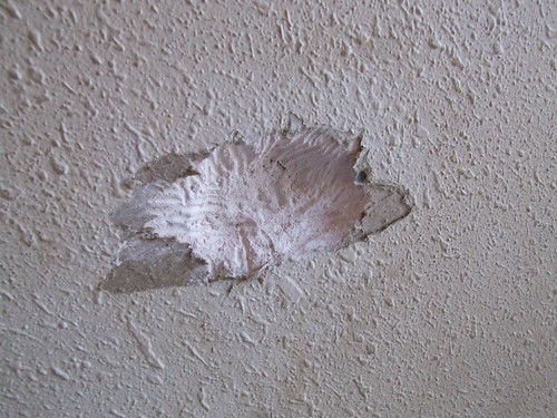Toothmarks in the Drywall