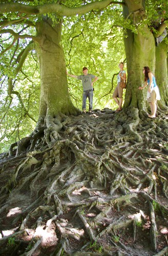 impressive roots