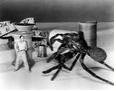 "The Incredible Shrinking Man"