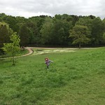 Running up the hill at Bramhall park<br/>25 May 2015