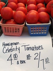 Celebrity Tomatoes