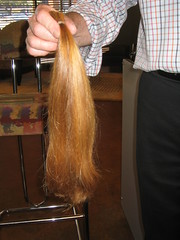 Thirteen inches of hair…