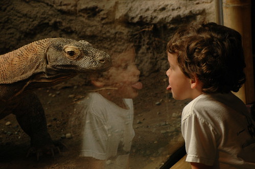 Boy Meets Dragon, Woodland Park Zoo, Seattle, WA