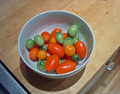 10 the last of the tomatos