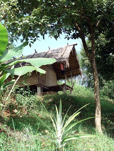 bamboo hut.jpg