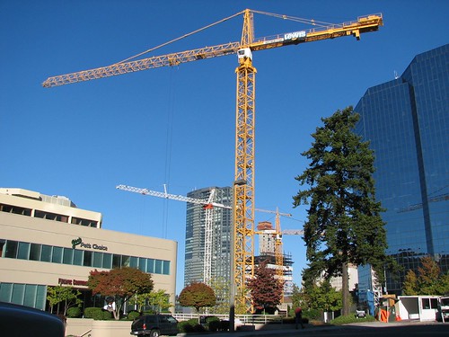 Cranes of Bellevue