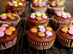 Rows of Samrties Chocolate Cupcakes