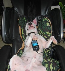 Scuba on massage chair wz remote control