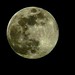 Luna Llena - Full Moon