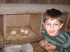 Weather Boy and the Chicken eggs