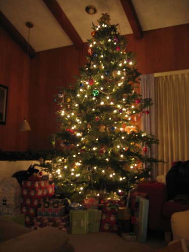 Christmas tree all lit up!