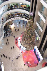 Times Square Christmas tree