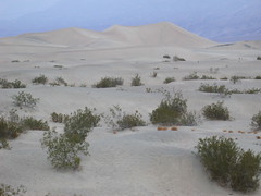Sand Dunes@Death Valley