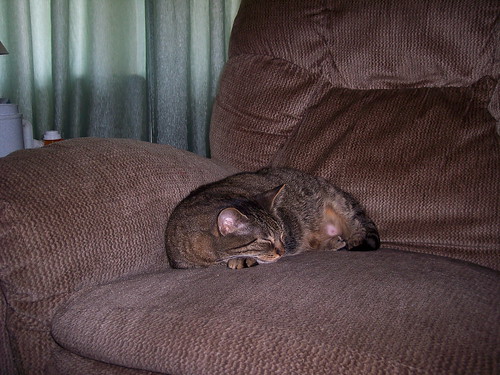 Maleficent asleep on the recliner