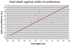 heel vs ankle