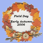 field_day_button_2_5