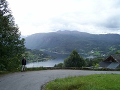 View of the Hardangerfjord