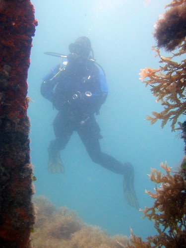 diver in poor visibility