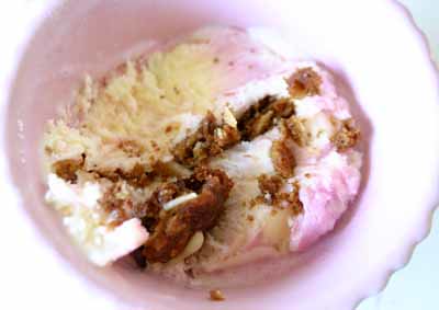 Oatmeal Cookie and Raspberry Ice Cream