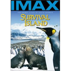 survival_island