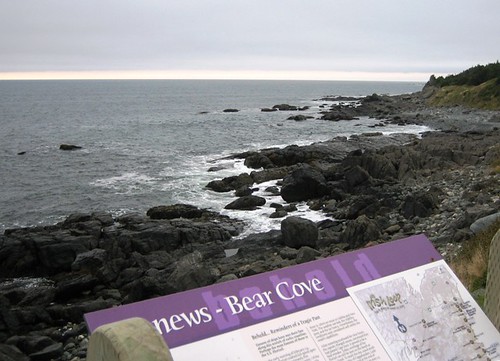 Bear Cove