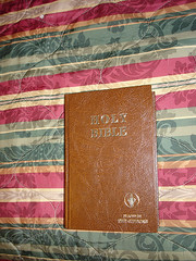 Brown Gideons Bible