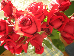 Anniversary Roses