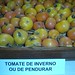 tomate de Inverno ou de pendurar