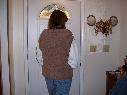 back view knit sweater vest